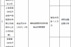 天安财险咸阳中心支公司因虚假财务资料被罚，引发对保险行业监管的思考